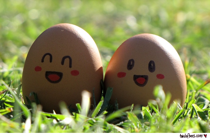 Happy Eggs