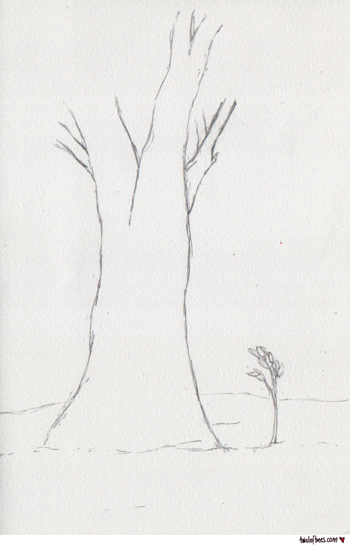 Tree & Sappling