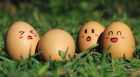 Egg Party
