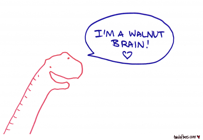 I'm a Walnut Brain