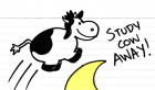 Study Cow